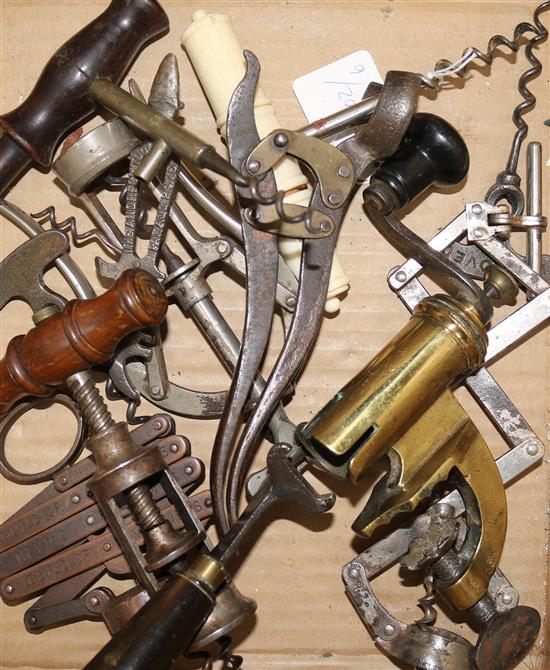 A collection of corkscrews